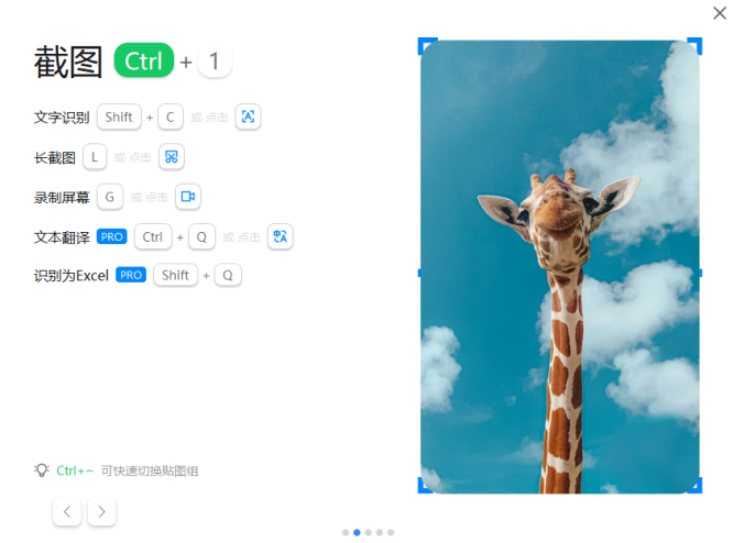 PixPin v3.5.2.2跨平台截图工具